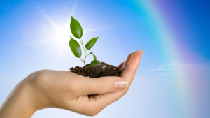 Psicoterapia_Centro Athena Napoli