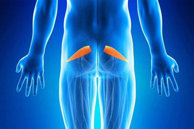 La-sindrome-del-piriforme sindrome del piriforme