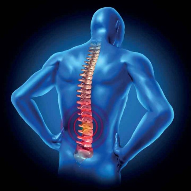 colonna-vertebrale.roma_